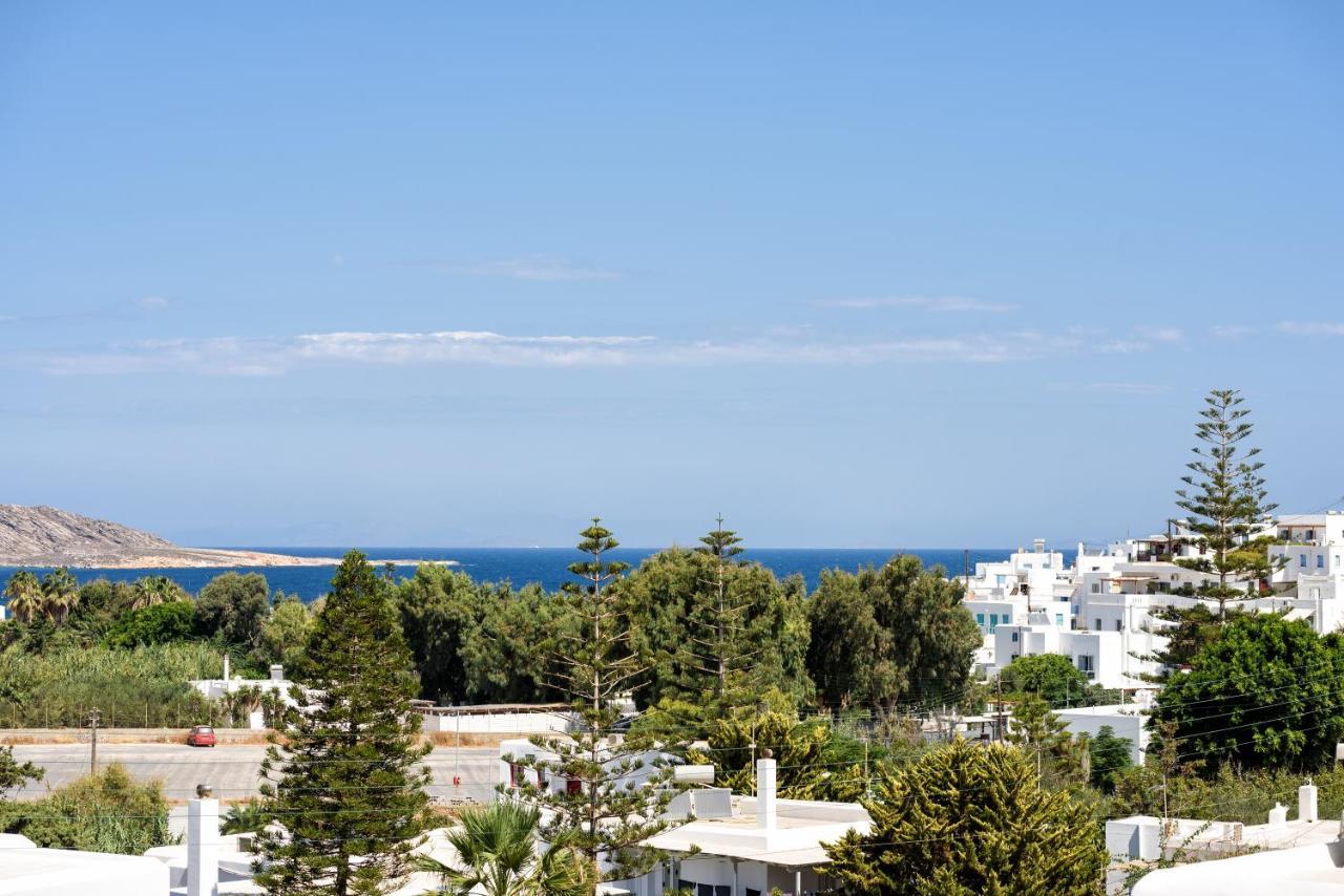 Hara'S Villa In Naousa , Paros Buitenkant foto